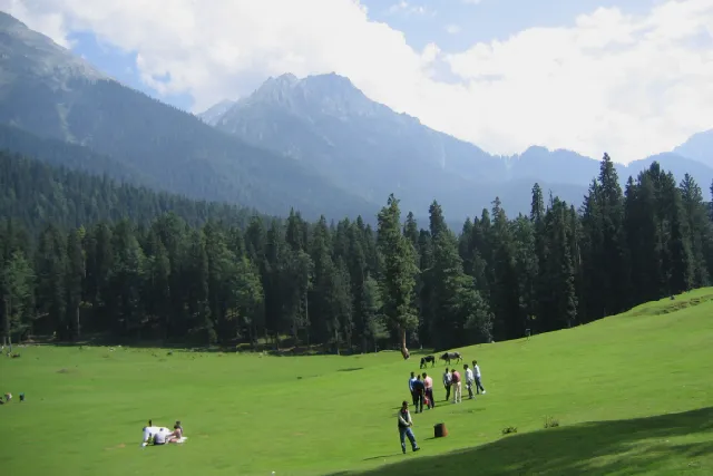 Kashmir Honeymoon Package with Pahalgam & Gulmarg