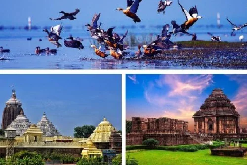 Puri Konark Chilika Tour