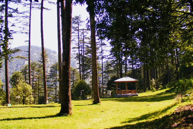 Mussoorie & Dhanaulti Tour Package